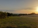 20210623_060853.jpg