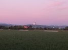 20210625_053103.jpg