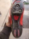 IMG_20210305_162539.jpg
