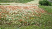 IMG_6751.JPG