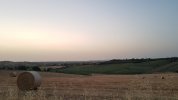 20210629_050645.jpg