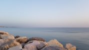 20210629_055414.jpg