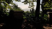 20210629_080336.jpg