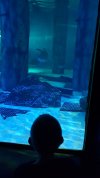 20210629_103716.jpg