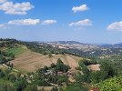 20210630_164337.jpg