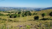 20210630_085708.jpg