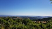 20210630_085539.jpg
