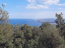 20210701_171237.jpg