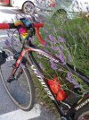 IMG_20210702_164901-01.jpeg