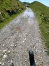 IMG-20210709-WA0014.jpg
