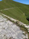 IMG-20210709-WA0015.jpg