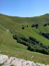 IMG-20210709-WA0016.jpg