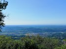 IMG_20210710_094941.jpg