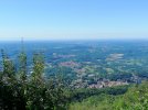 IMG_20210710_095154.jpg
