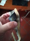 IMG_20181030_153750.jpg