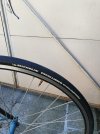 IMG-20210718-WA0000.jpg
