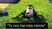 1627044978630.png