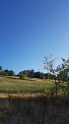 20210807_073132.jpg