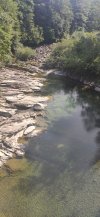 IMG_20210808_163417.jpg