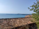 IMG_20210809_093642.jpg