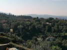 IMG_20210811_095446.jpg