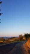 20210814_064031.jpg