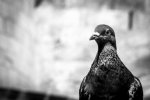100_0059.jpg