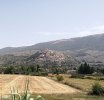 IMG_20210816_164426.jpg