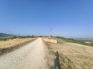IMG_20210817_075416.jpg
