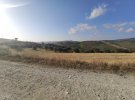 IMG_20210817_075412.jpg