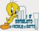 Pulcino.jpeg