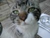 DSCN4950.jpg