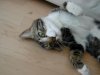 DSCN5149.jpg