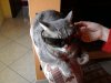 Foto-0108.jpg