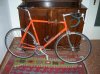 DSCN6173.jpg