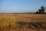 DSCN7431.jpg