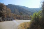 DSCN7443.jpg