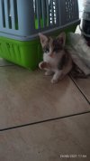 IMG_20210824_170414.jpg