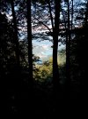 IMG_20210826_124033.jpg