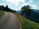IMG_20210826_125122.jpg
