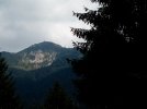 IMG_20210826_142828.jpg