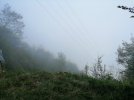 IMG_20210827_091624.jpg