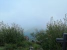 IMG_20210827_092210.jpg