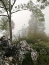 IMG_20210827_092519.jpg