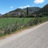 IMG_20210829_131356_759.jpg