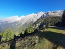 20210910_091031.jpg