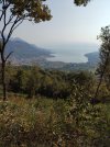 IMG_20210914_094030.jpg