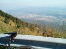 IMG_20210911_151119.jpg