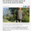 Cattura.PNG Cattura.PNG