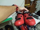 IMG_20210924_191302.jpg
